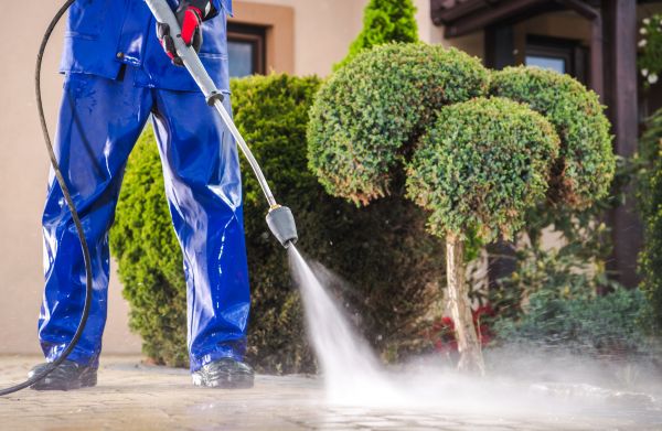 Driveway Cleaning in Palm Harbor