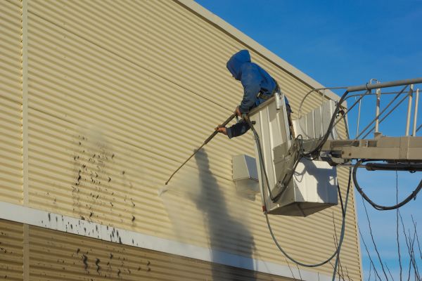 Cladding Cleaning in Palm Harbor