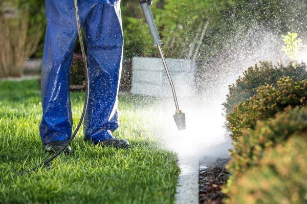 Curb Cleaning in Palm Harbor