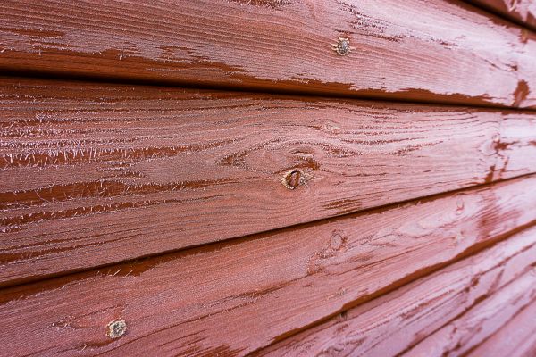 Cedar Siding Cleaning in Palm Harbor