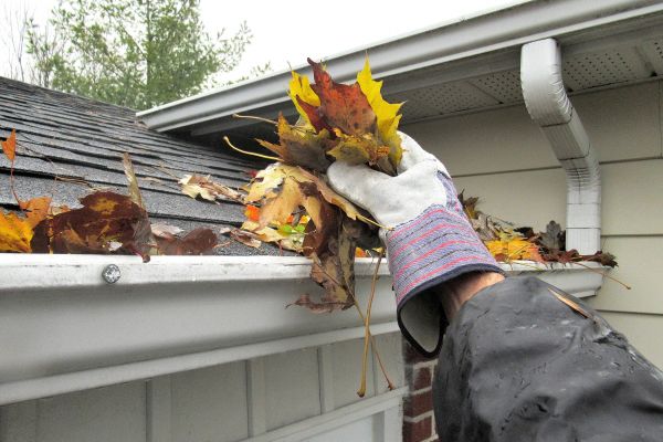 Eaves Cleaning in Palm Harbor