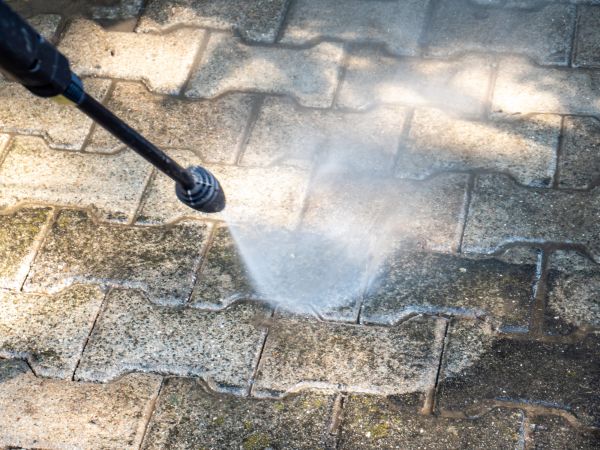 Paver Pressure Washing in Palm Harbor