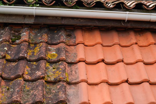 Industrial Roof Cleaning in Palm Harbor