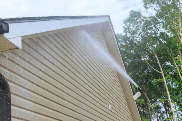 Siding Cleaning Service in Palm Harbor