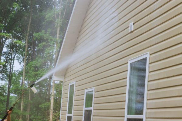 Home Siding Cleaning in Palm Harbor