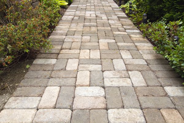 Paver Walkway Cleaning in Palm Harbor
