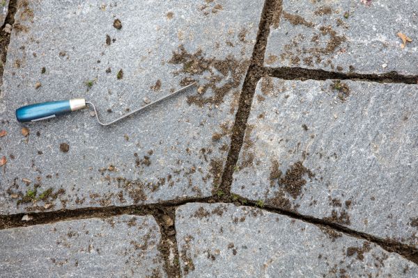 Flagstone Patio Cleaning in Palm Harbor