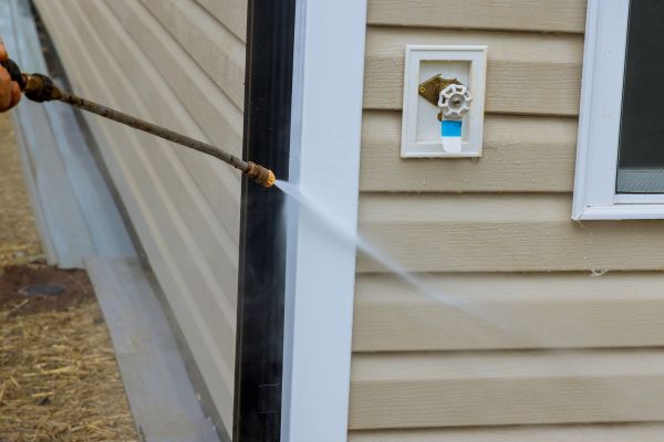 Vinyl Siding Cleaning in Palm Harbor
